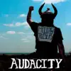 Audacity - Mellow Cruisers